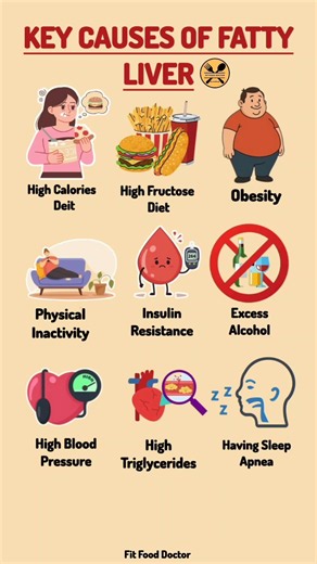 Key Causes of Fatty Liver You Should Know | Liver Health Tips #healthtips