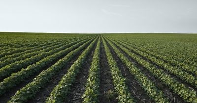 Reklemel Active I Corteva Agriscience