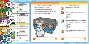 Phonetically-Decodable 60-Second Reads: Animals (Phases 2-5) Activity Pack