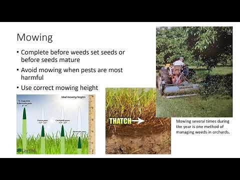 IPM - Mechanical and Physical Pest Control