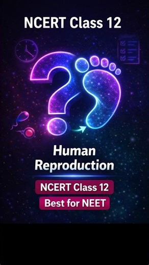 Human Reproduction 2 😱 | NCERT Class 12 | NEET 2026 #Quick Revision Shorts #biology #neetmcqs