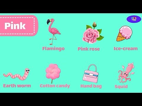 Things that are pink Learning Colors for Kids | Pink colour objects