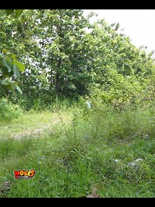 Terbaru Komedi Woko Channel #3 | Woko Channel