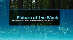 This Week: Interior leaders celebrate National Ocean Month; DOI and USDA announce a $2.8 billion proposed investment to sustain our public lands and Bureau of Indian Education-funded schools; nearly $725 million is available to help 22 states and the Navajo Nation reclaim abandoned mine lands; Interior announces a $700 million investment for long-term water conservation projects across the Lower Colorado River Basin; Secretary Haaland and Agriculture Secretary Tom Vilsack issue a joint memo outl