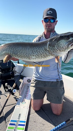 Catch the Season's First 50-Inch Musky Fish
