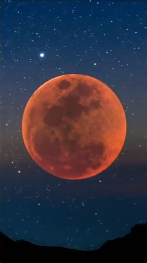 Rare SELENELION Event: Sun & Moon Together ☀️🌑