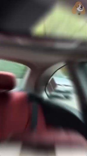 ¿Te estresan los puntos ciegos cada vez que cambias de pista? Con su ángulo de 160° y tamaño de casi 12”, ves más camino de un vistazo y manejas con más seguridad | Bigolito Store | Facebook