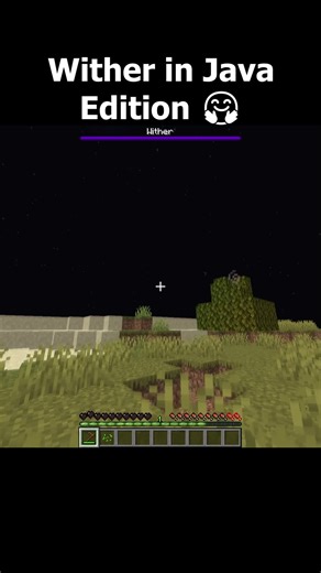 Minecraft Java VS Bedrock Wither Moment#shorts #minecraft #minecraftmemes