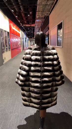 The Turi chinchilla is so beautiful | The Fancy Success Furs