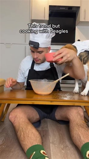 This trend but ✨ cooking with beagles ✨ In other words: dad gets heavily bullied by Kiki and Koko 🤣 #dog #beagle #funnydog #dogsofinstagram #viralvideos #viral #beaglesofinstagram #cookingwithbeagles #dogsofig | Beagles Kiki & Koko