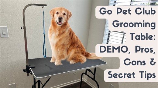 Watch the latest from Doodle Doods on Amazon Live