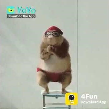 Good morning funny video