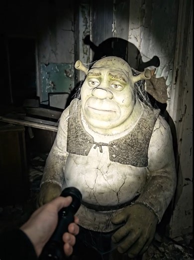 Lost Cartoon Places - Shrek #shrek #fiona #dreamworks