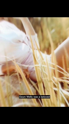 1.2K views · 115 reactions | Dawn Wells – Cherished Star of Gilligan’s Island #DawnWells #GilligansIsland #TVLegend #ClassicHollywood #fblifestyle | Lens of the Long Ago | Facebook