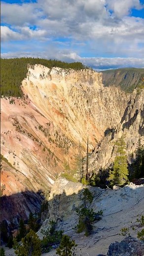 Grand Canyon of the Yellowstone | Yellowstone National Park🏔️🌲🇺🇸 #hiking #yellowstone