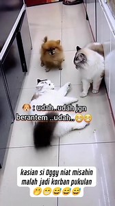 341K views · 6.2K reactions | Kajon Setiapano on Reels | Facebook