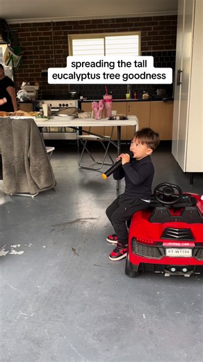 Sing Along to the Tall Eucalyptus Tree Song