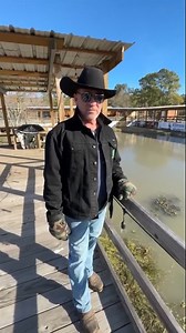 Cool! Here's a look at how alligators survive in frozen water. #frozen #water #ice #alligator #texas | KOLD News 13