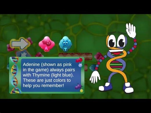 Gene Mutations with DNA Rush - Science Game for Grades 6-8 | Mauricio Riqué Rovelo