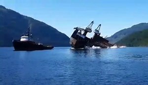 taylorjacob21 on TikTok