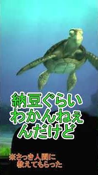 Glitch in the settings? Crush seems to know what popcorn is [Turtle Talk] Tokyo DisneySea