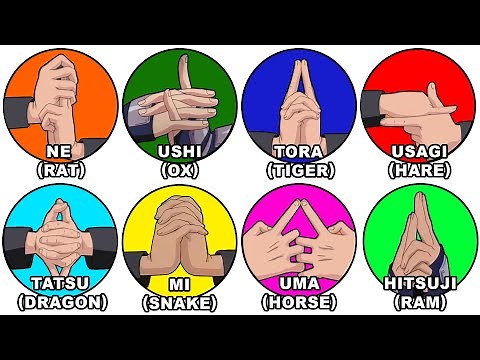 Every Ninjutsu Hand Seals Explained in 12 minutes