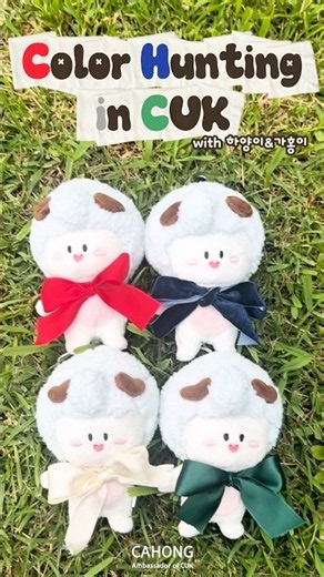 [가톨릭대학교 가홍이] 컬러헌팅 in 가대 ❤️💙🤍💚