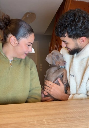 Vous avez intérêt à suivre @zeïn la plus grande star d’internet ! | zein