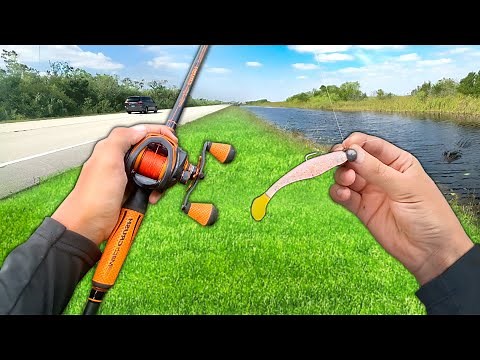 Roadside Fishing the EVERGLADES! (and this happened..)