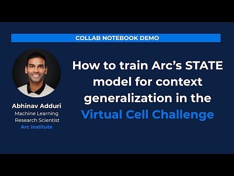 How to Train Arc's STATE Model for the Virtual Cell Challenge