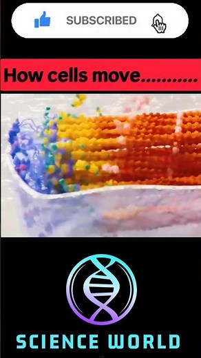 How cells move..... #biology #sciencefacts #science #cell