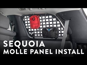 Sequoia Rear Window MOLLE Panel Install
