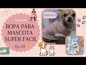 🌟How to Make Dog or Cat Clothes | Super Easy Pet Sweater | Step by Step | 🐶😺