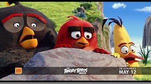 76K views · 415 reactions | This year's biggest release features this year's biggest "release"...The #AngryBirdsMovie, incoming to cinemas May 12! Featuring Jason Sudeikis, Josh Gad, Danny McBride, Maya Rudolph, Kate McKinnon with Bill Hader and Peter Dinklage. | The Angry Birds Movie | Facebook