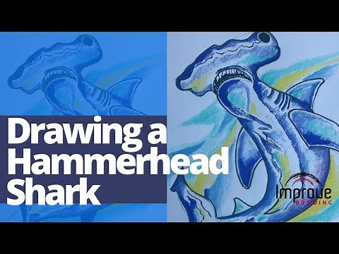 How To Draw A Hammerhead Shark Step By Step