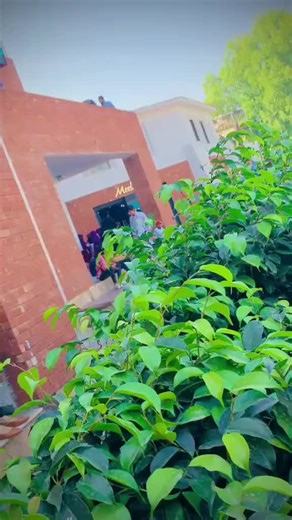 College Life & Crew Love