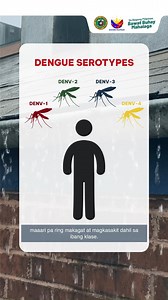 ⏰ Alas Kwatro, Kontra Mosquito! ⏰ Alam mo ba kahit nagka-dengue ka na puwede ka pa ring magka-dengue ulit? 🦟 Dahil may 4 na Serotypes ang Dengue Virus. 🦟 Tandaan: Walang Lamok, Walang Dengue! Taob, Taktak, Tuyo, Takip ng mga lalagyang may tubig para walang pamahayan ang lamok. #DOH #BawatBuhayMahalaga #Dengue | Department of Health (Philippines)