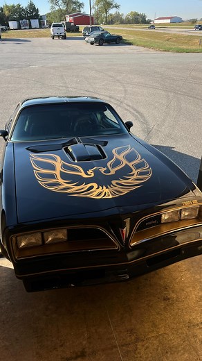 11K views · 740 reactions | Customers 1977 Trans Am being dropped off! #firebird #formula #transam #black #bandit #special #edition #special_edition #american_muscle #smokeyandthebandit #burt_reynolds #american_classic #musclecars #pontiac_firebird_transam #barnfind #fbody #americanmuscle #transamofinstagram #transams_of_instagram #carsofinstagram #pontiaclife #pontiaconly #pontiactransam #pontiacfirebird #hotrod #firebirdlife #carporn | Restore a Muscle Car | Facebook