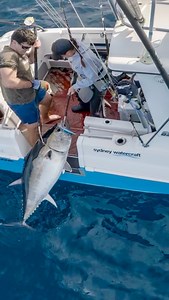 New LASER PRO 210 💥🤝 it’s a BLOODY RIPPER #youknowtheywork #halcotackle | Halco Tackle