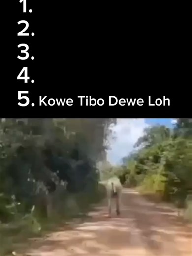 Sapi Lucu: Menjelajahi Karakter Unik Sapi