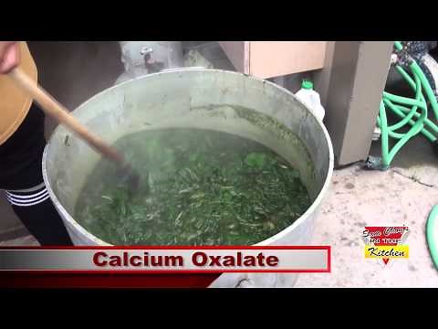 Sam Choy's IN THE KITCHEN Vignette #1 Luau Leaf!