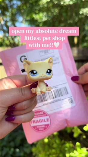 Open My Dream Littlest Pet Shop LPS Unboxing