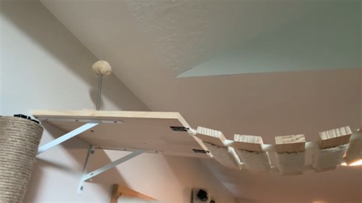 Watch DIY Cat Obstacle Course Wall Kit ! on Amazon Live