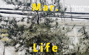 BISU的网课日常｜自习时刻｜学习日常｜日常记录vlog