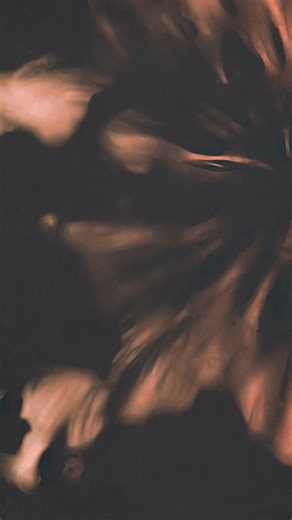 69 reactions | An intuitive scoring instrument with 120 presets for expressive cinematic textures. | Native Instruments | Facebook