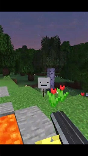 When the Minecraft speedrun gets annoying... 💀 #shorts #minecraft #meme