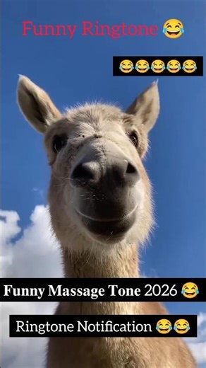 Notification Sound Donkey #viralvideo #funny #viral #ytshorts #shorts #youtubeindia