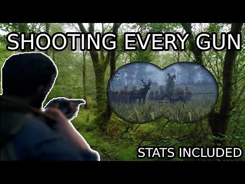 OPEN COUNTRY TIPS!! | Shooting EVERY GUN in the game!! | STATS INCLUDED!! | What's Better?
