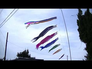 2020 にぎやかな鯉のぼり レトロ吹流しバージョン