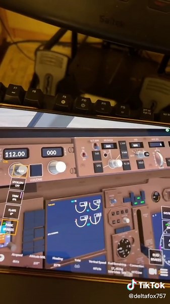 Infinite Flight 3D Airport Simulator: Explore LAX Airport